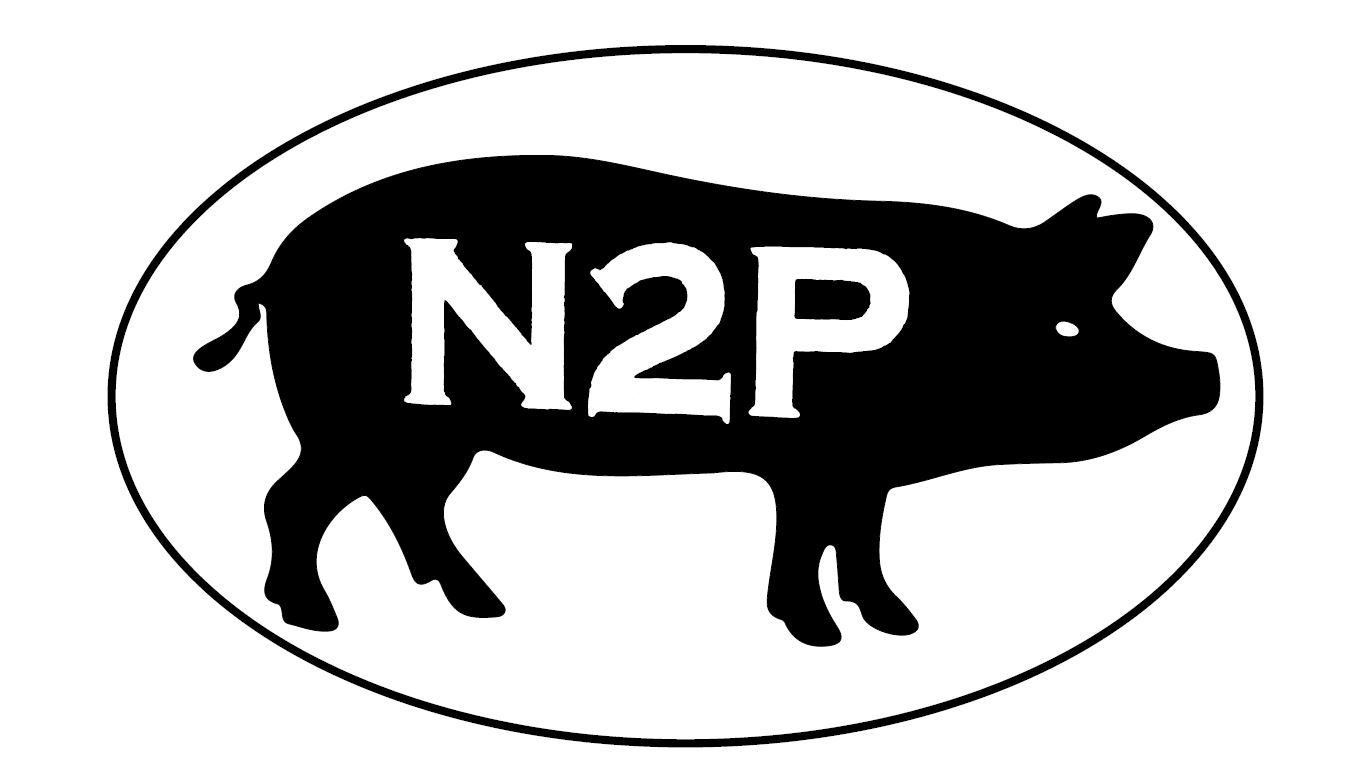 N2PLogo